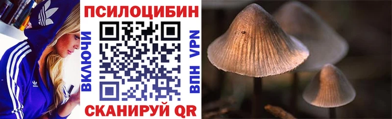 Галлюциногенные грибы MAGIC MUSHROOMS  Купить закладки  Колпашево